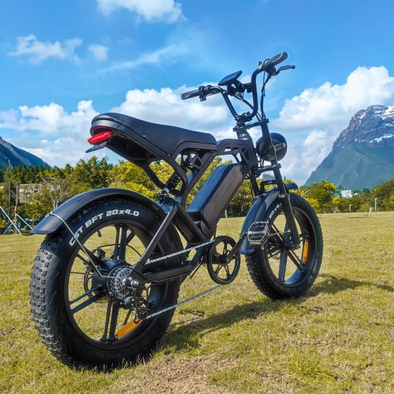 YTYIN 2024 中国製工場高品質カスタム格安電動自転車 - Scooter Electric のレビューと価格