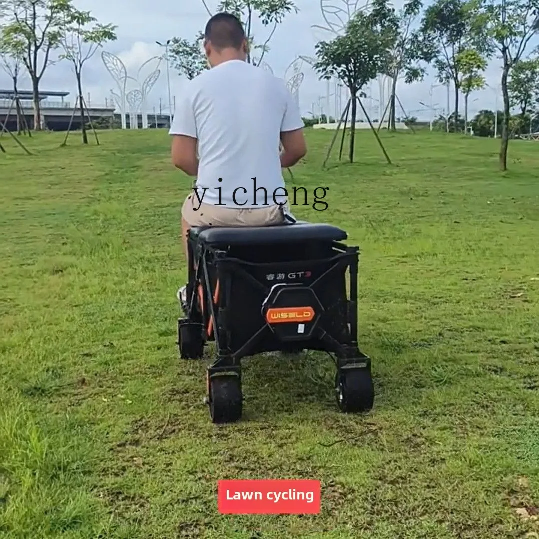 TQHキャンパー アウトドアライディング モペット ピクニッ - Folding Electric Scooter のレビューと価格